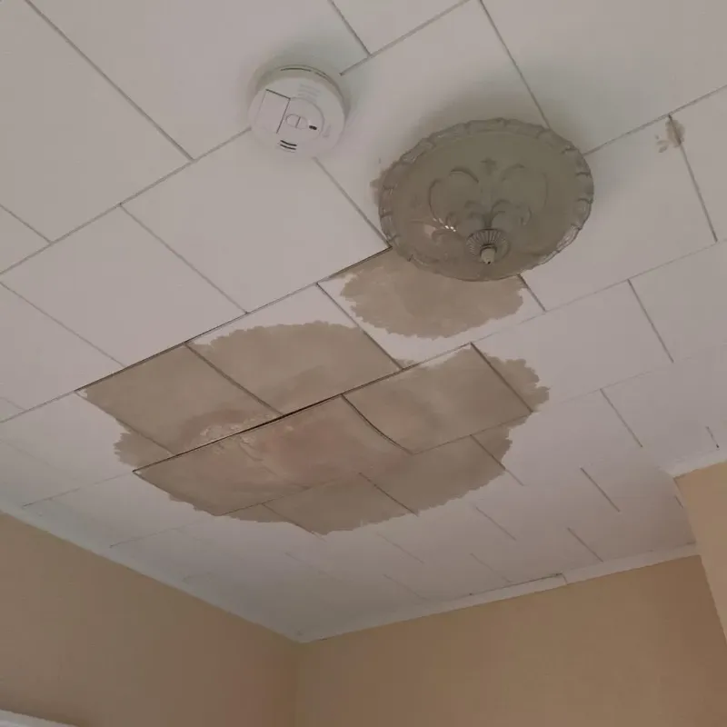 Ceiling Water Damage Repair in Peabody, MA